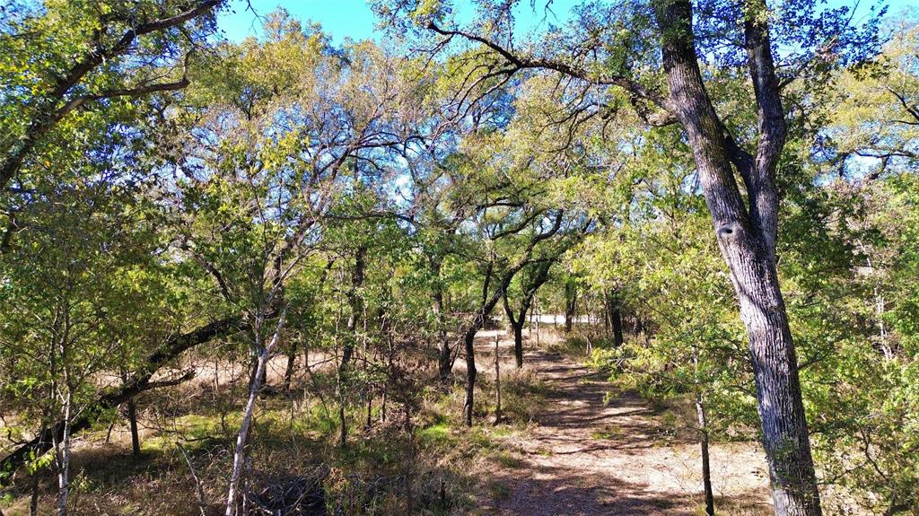 0 Bee Creek Road Maypearl, TX 76064 - Photo 3 of 39 a backyard of a house with lots of green space