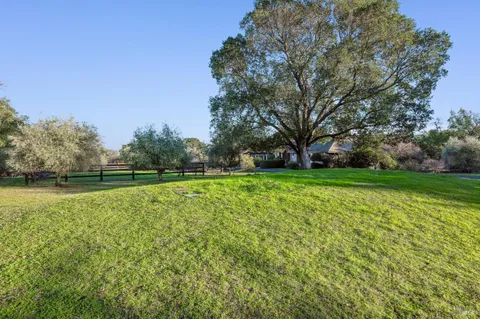 a view of a garden with trees