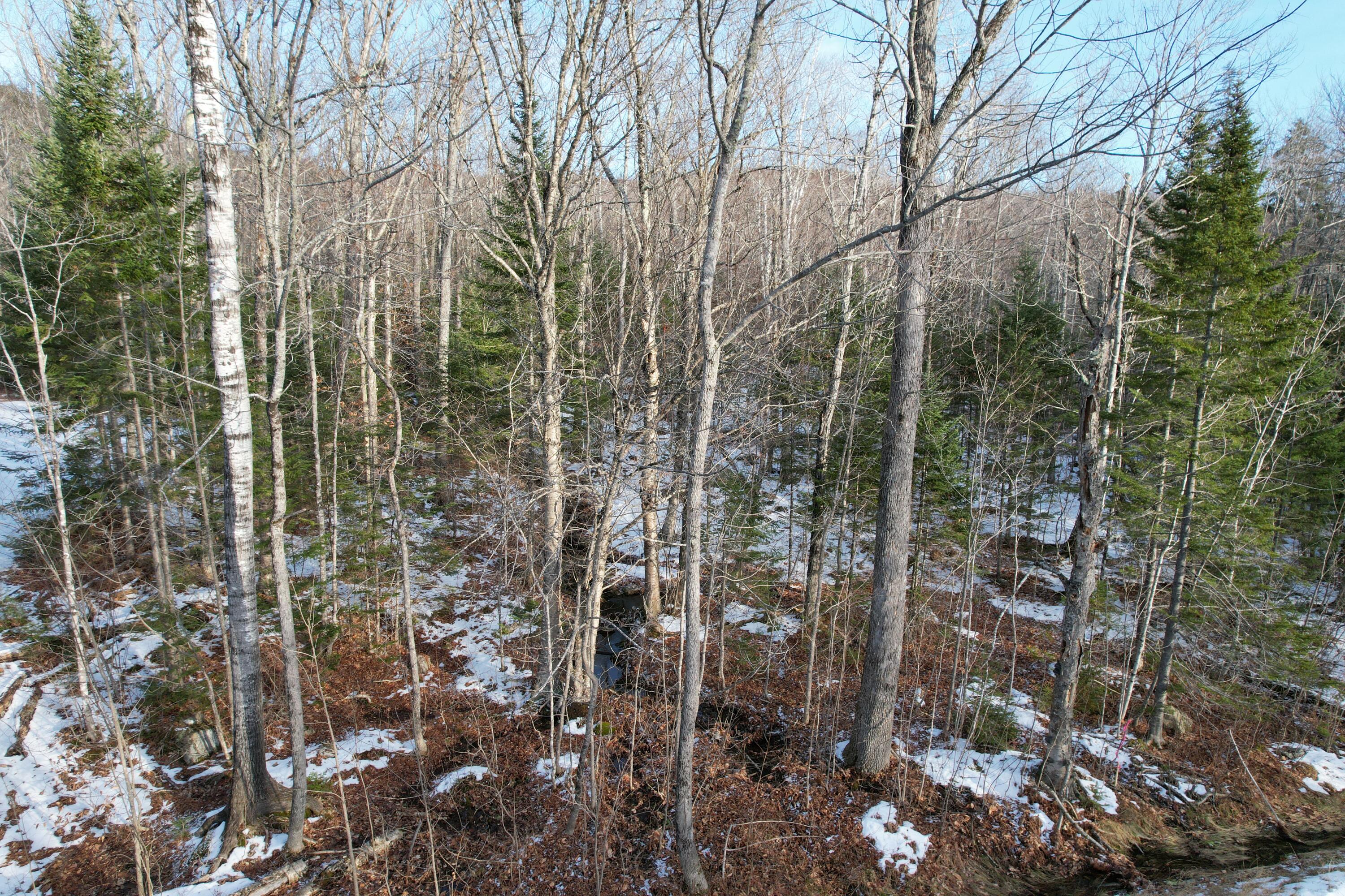 2037 Ridgeview Road Kingfield, ME 04947 - Photo 2 of 21 DJI_0794