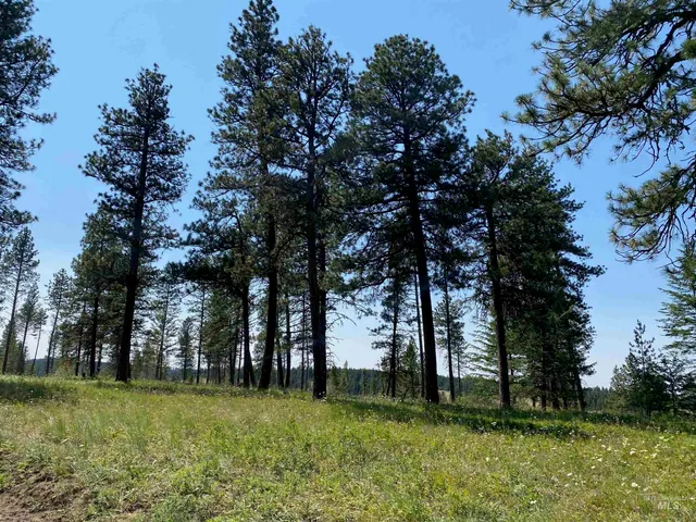 $2,400,000 | Nna Cloverland Road, Asotin, WA 99402