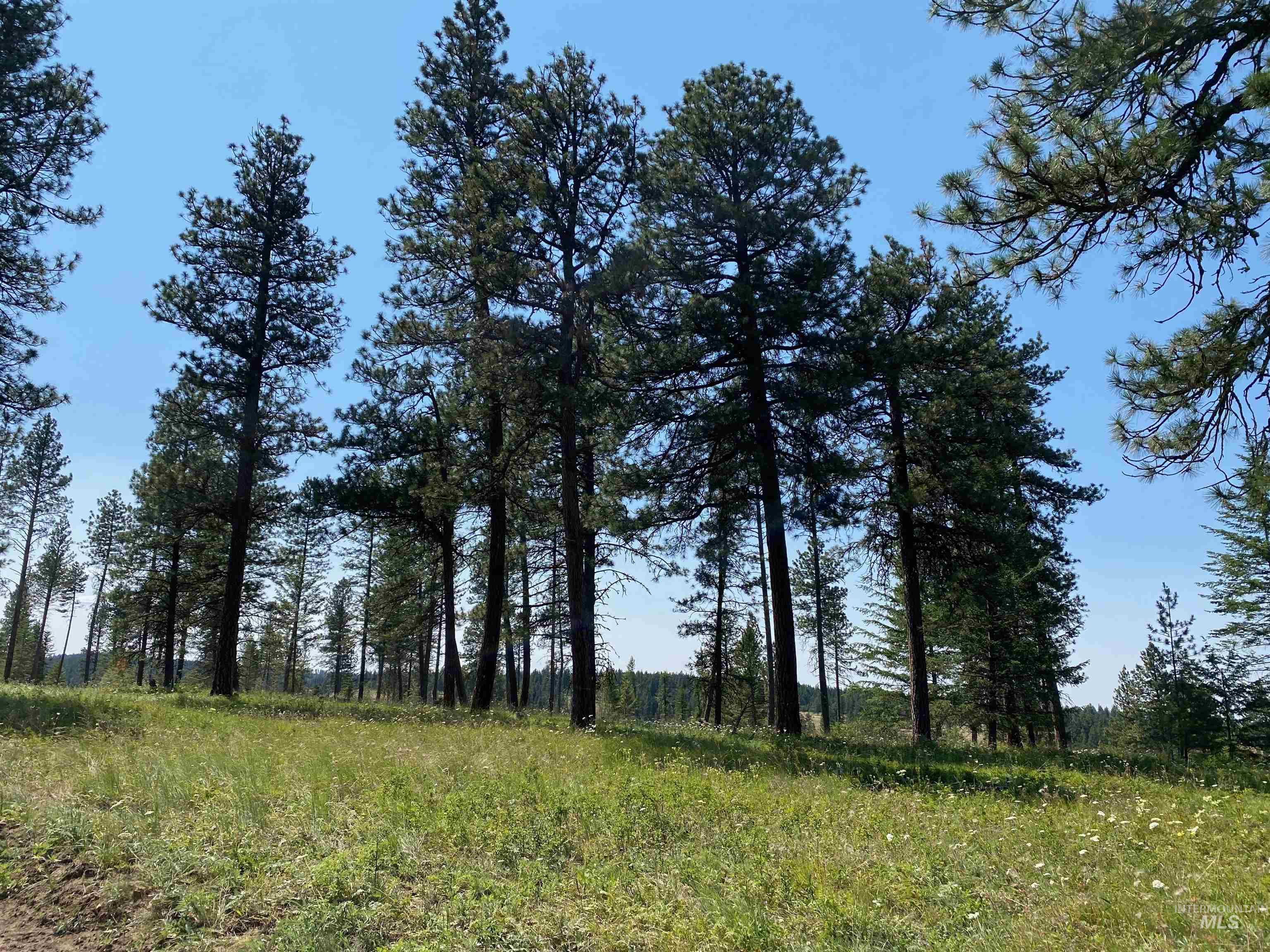 Nna Cloverland Road Asotin, WA 99402 - Photo 11 of 24