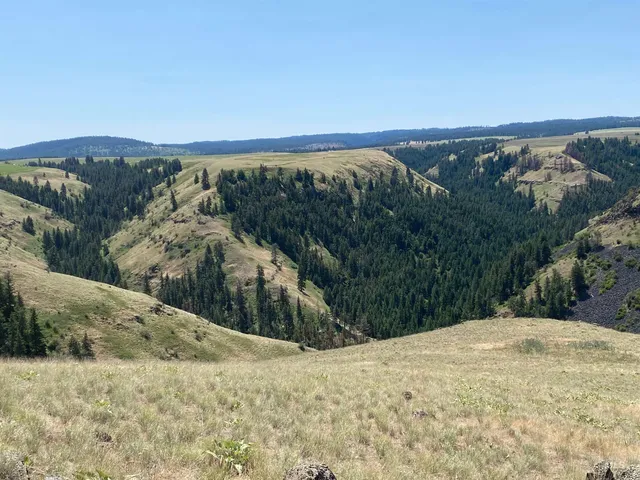 $2,400,000 | Nna Cloverland Road, Asotin, WA 99402