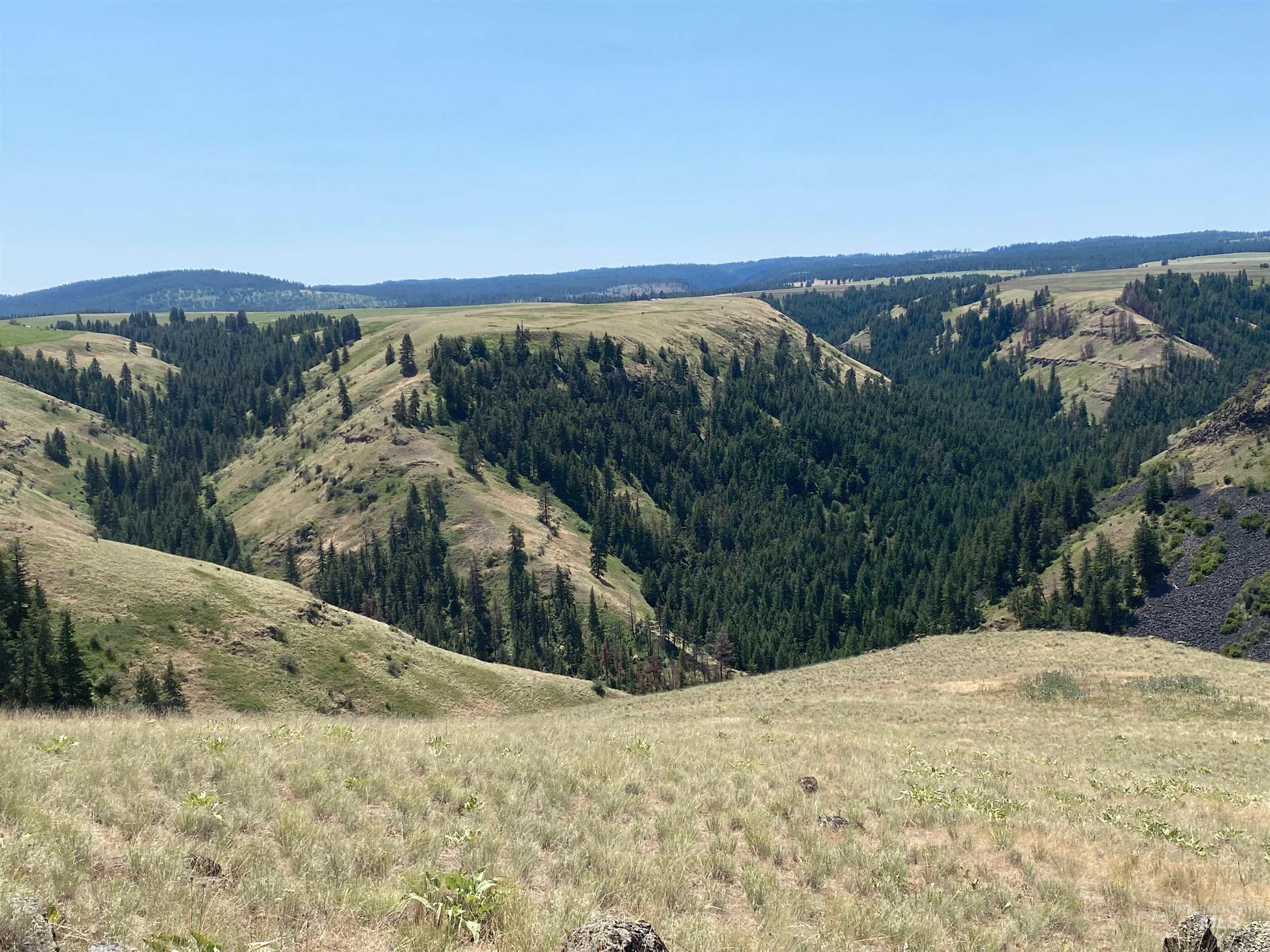 Nna Cloverland Road Asotin, WA 99402 - Photo 12 of 24