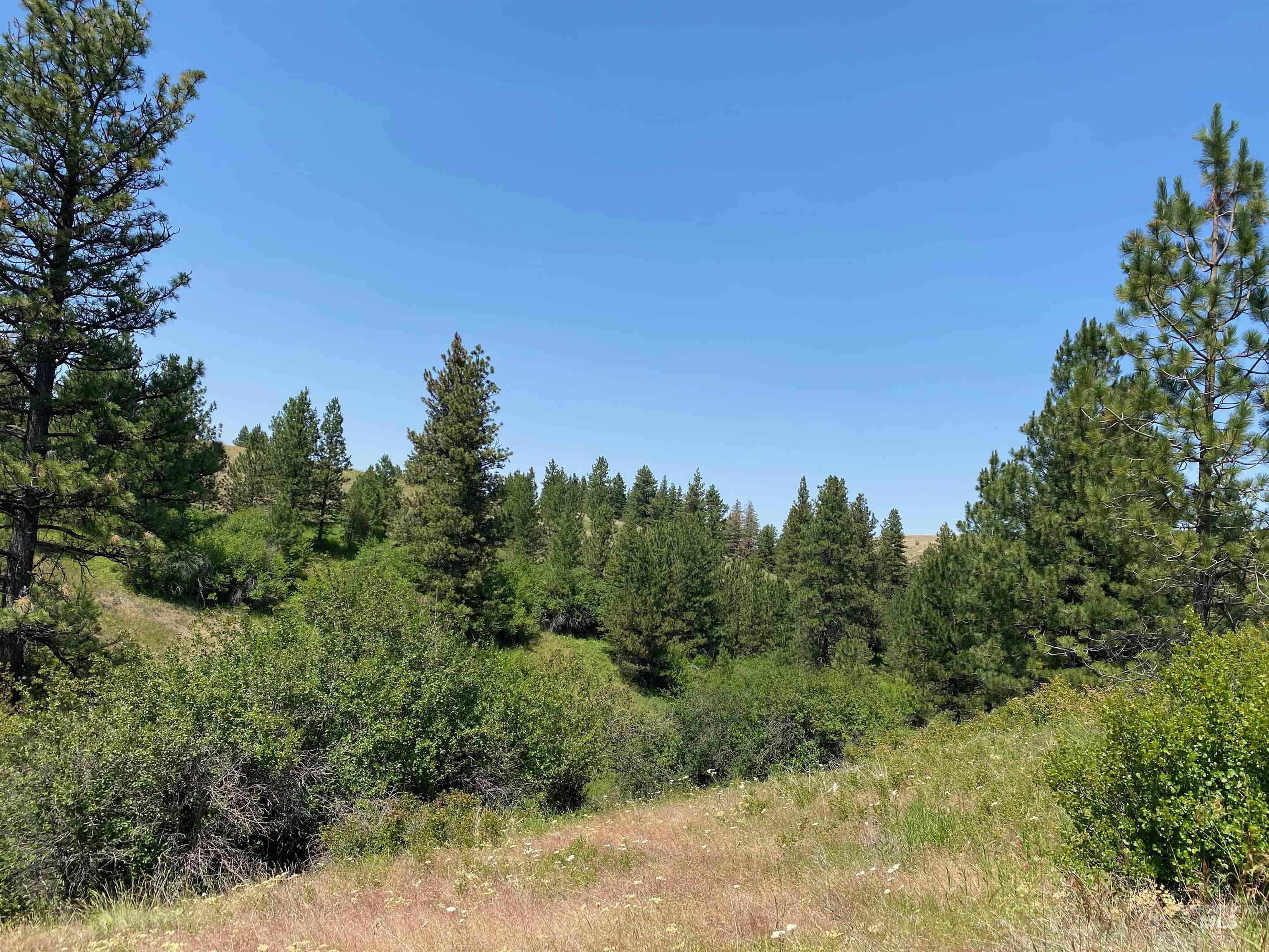 Nna Cloverland Road Asotin, WA 99402 - Photo 13 of 24