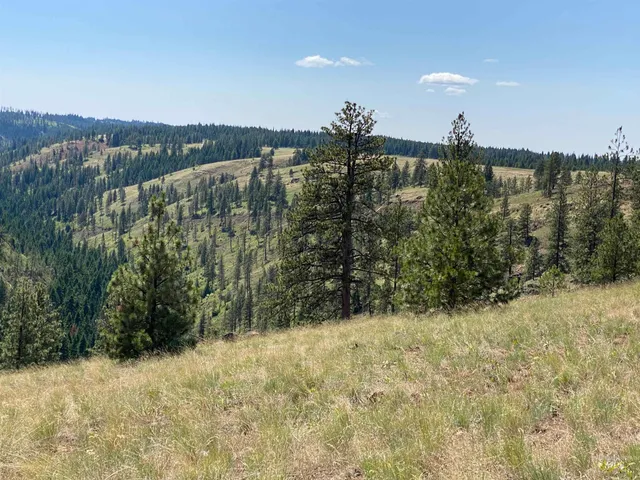 $2,400,000 | Nna Cloverland Road, Asotin, WA 99402