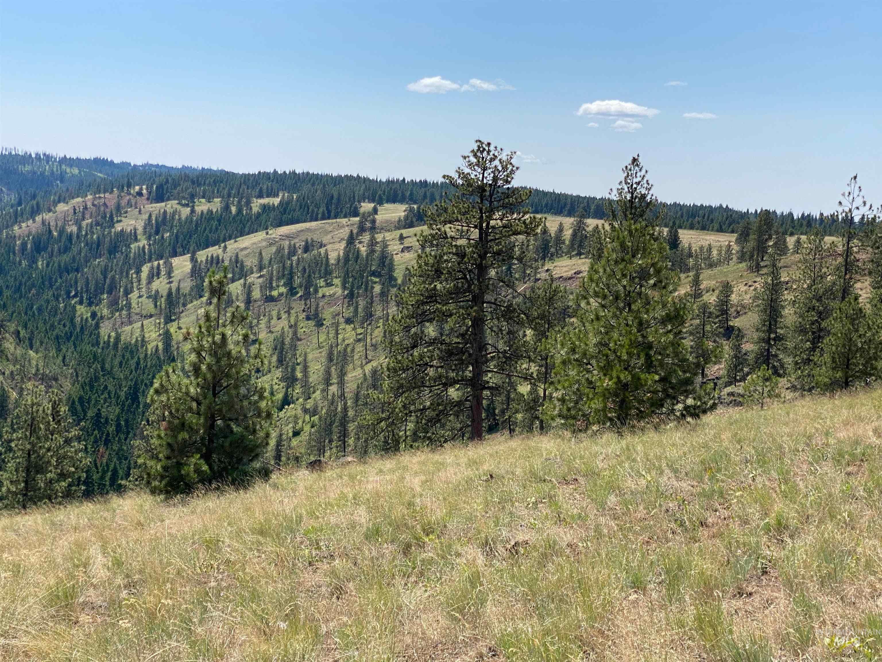 Nna Cloverland Road Asotin, WA 99402 - Photo 17 of 24