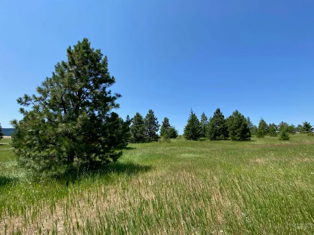 $2,400,000 | Nna Cloverland Road, Asotin, WA 99402