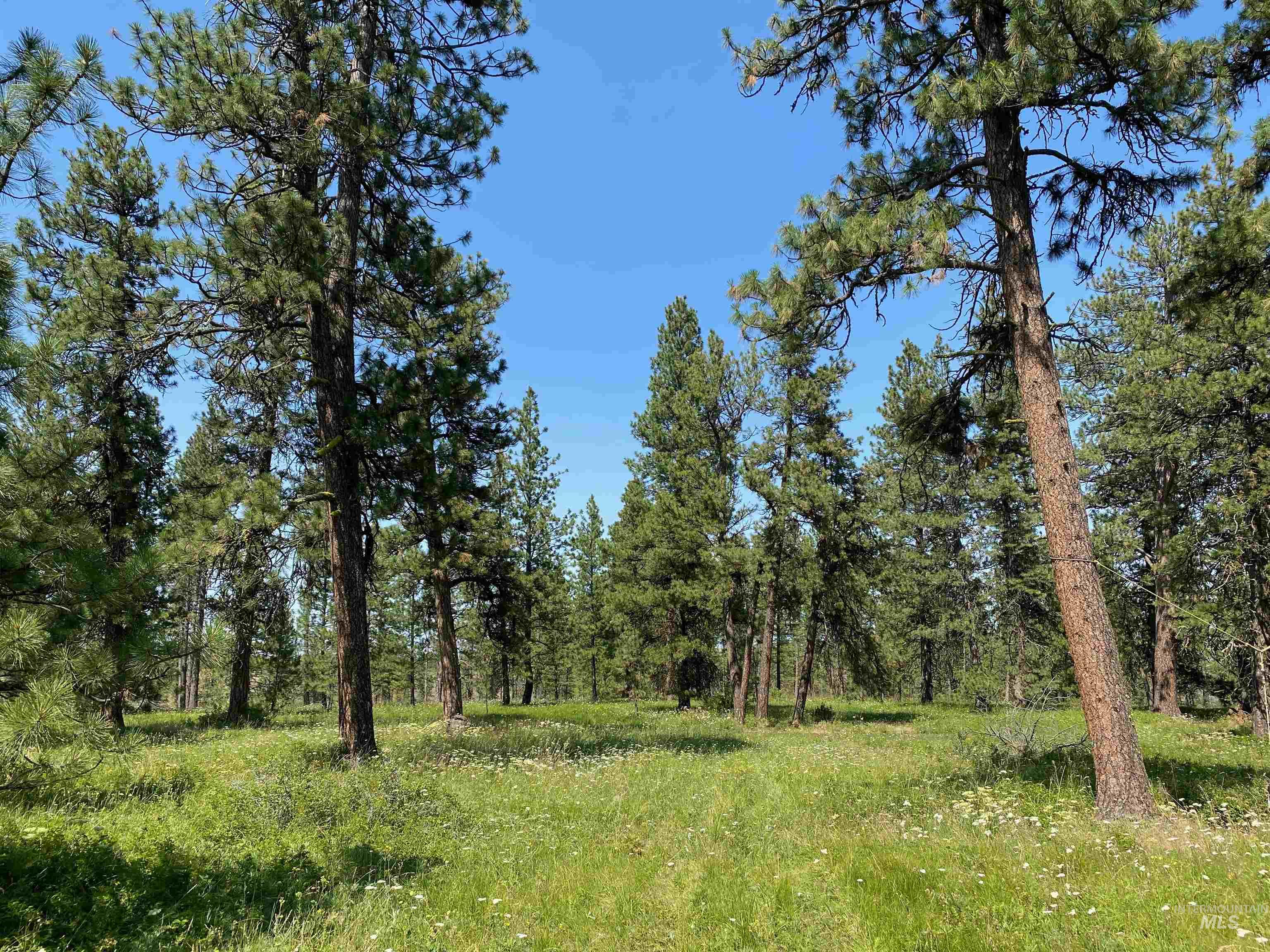 Nna Cloverland Road Asotin, WA 99402 - Photo 2 of 24