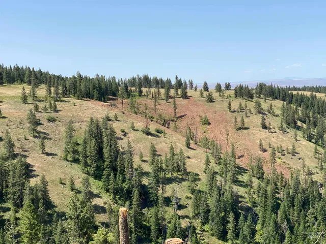 $2,400,000 | Nna Cloverland Road, Asotin, WA 99402