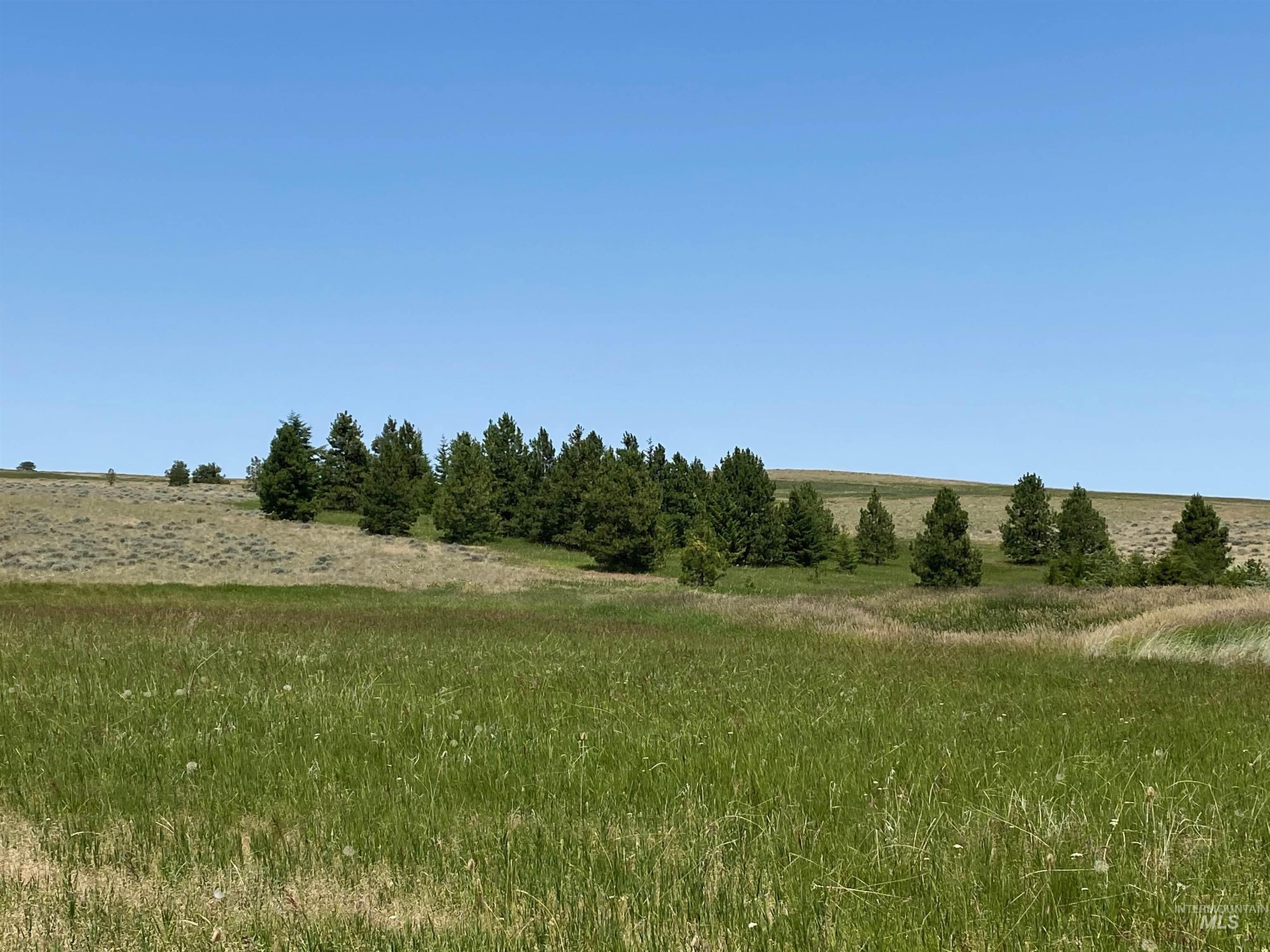 Nna Cloverland Road Asotin, WA 99402 - Photo 22 of 24