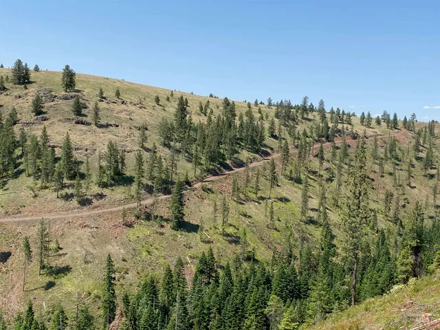 $2,400,000 | Nna Cloverland Road, Asotin, WA 99402