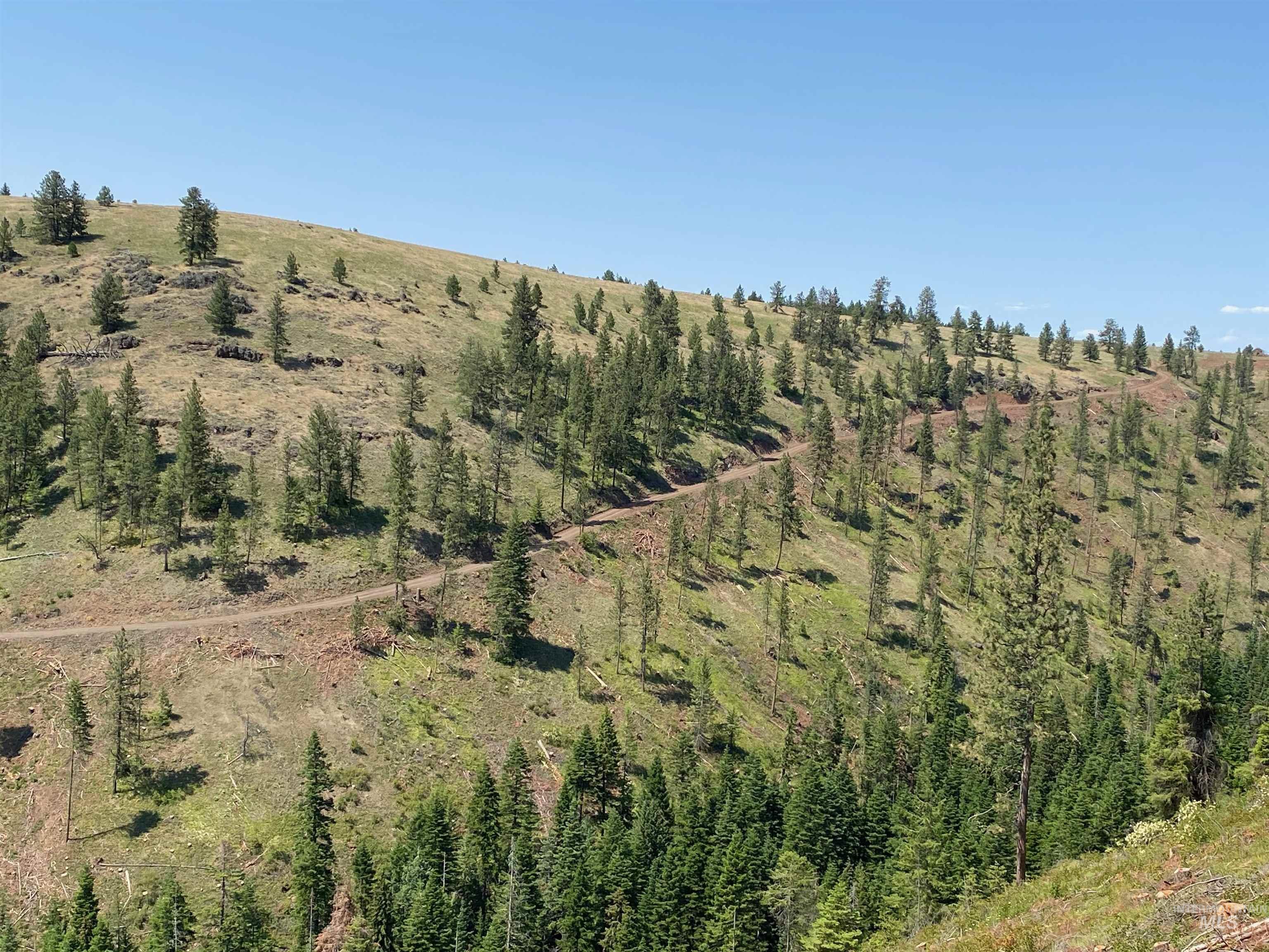 Nna Cloverland Road Asotin, WA 99402 - Photo 23 of 24