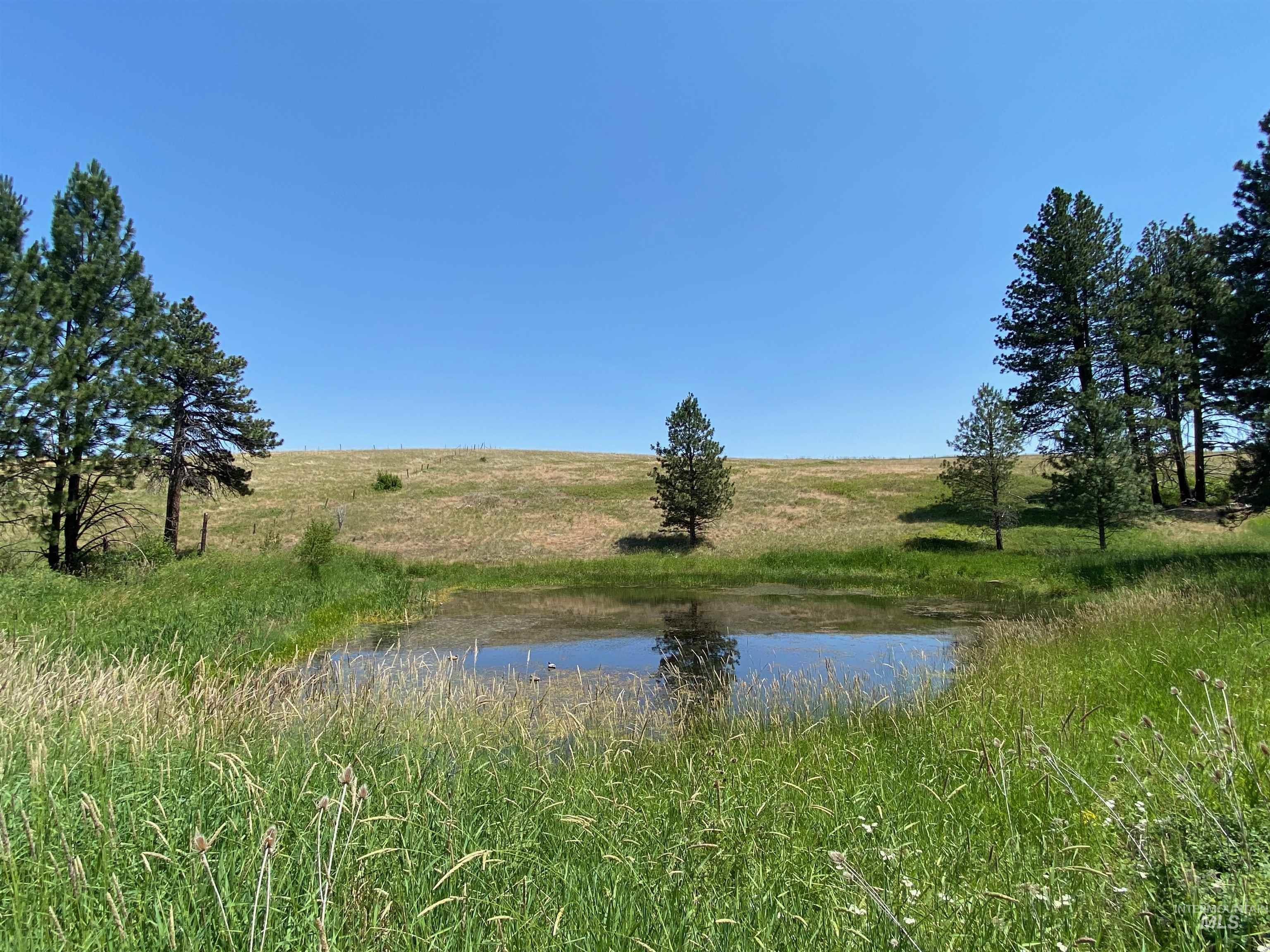 Nna Cloverland Road Asotin, WA 99402 - Photo 3 of 24