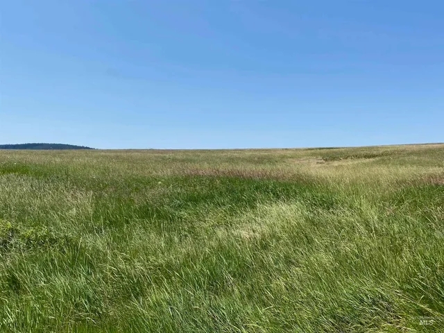 $2,400,000 | Nna Cloverland Road, Asotin, WA 99402