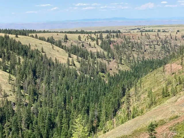 $2,400,000 | Nna Cloverland Road, Asotin, WA 99402