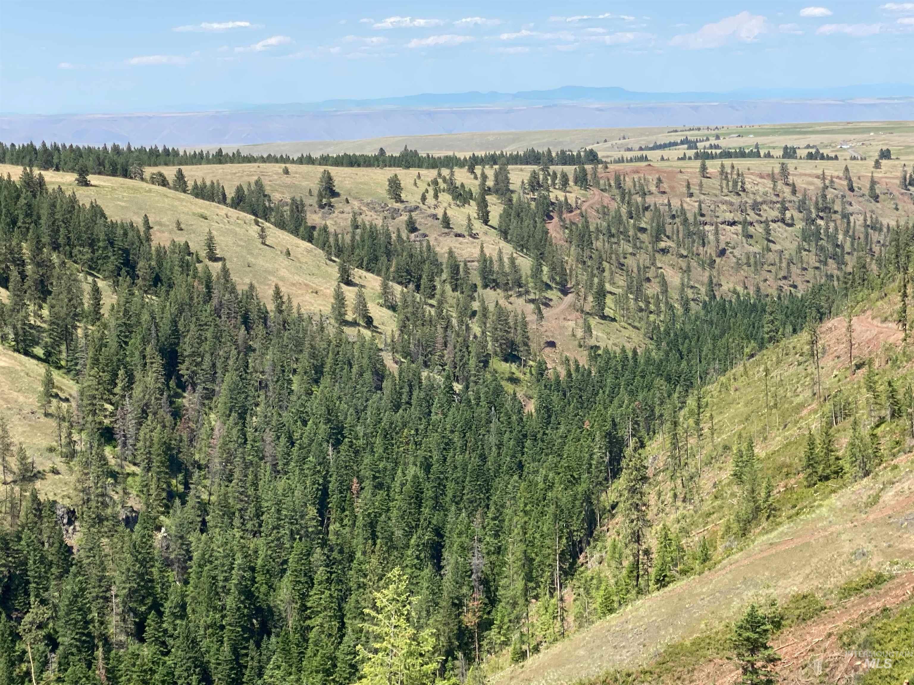 Nna Cloverland Road Asotin, WA 99402 - Photo 7 of 24