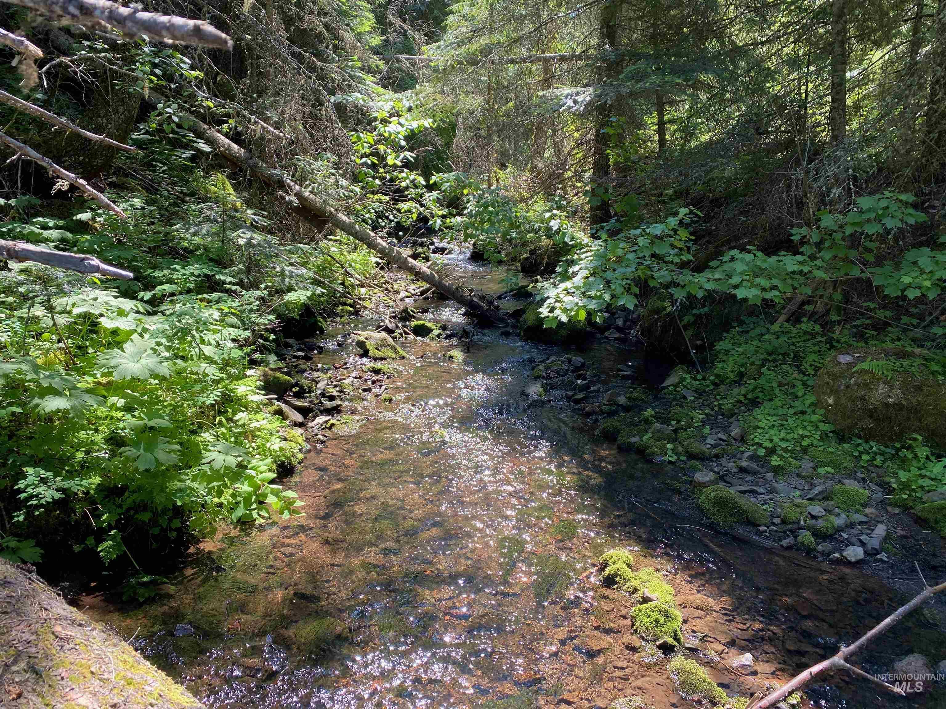 Nna Cloverland Road Asotin, WA 99402 - Photo 8 of 24