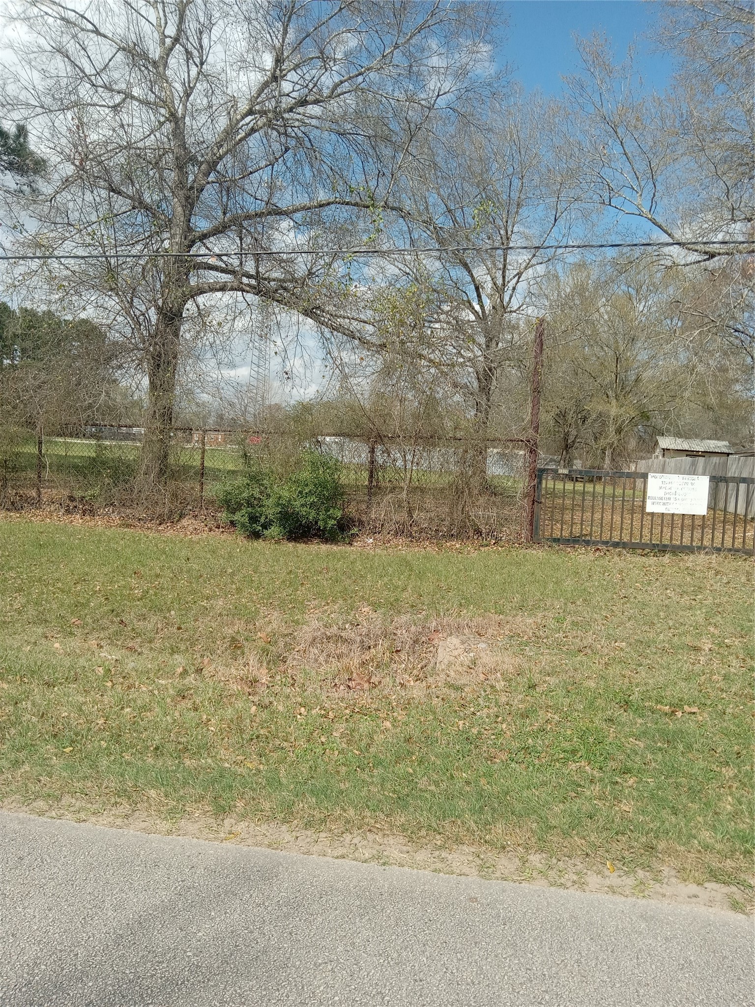 a view of a yard with a bench