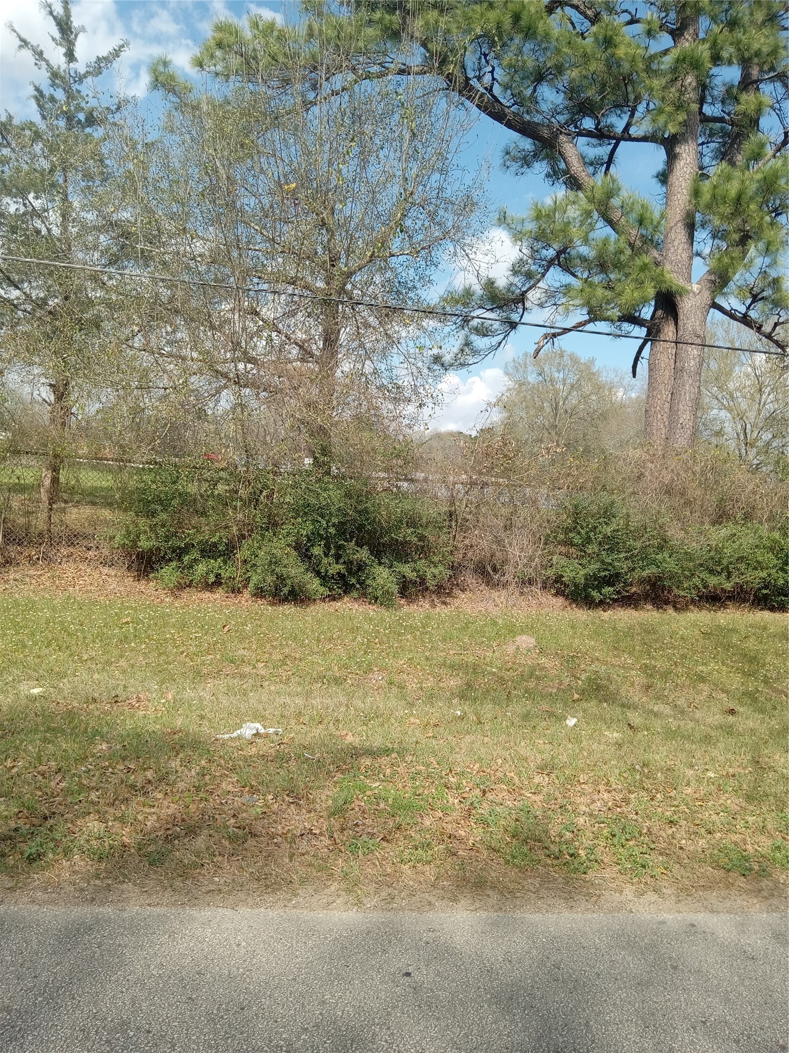 0 Goodson Road Magnolia, TX 77355 - Photo 2 of 9 a view of a yard with an outdoor space