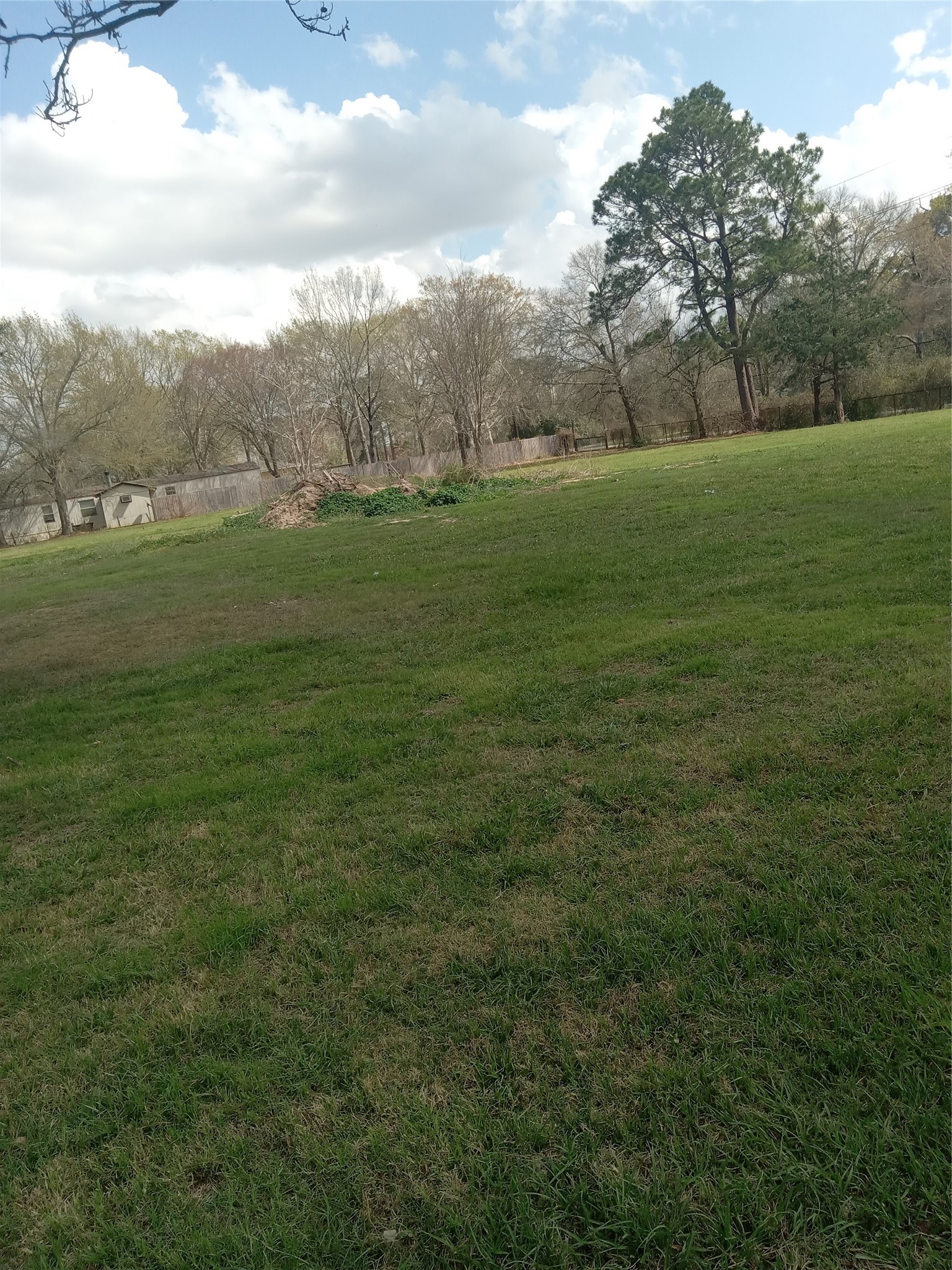 0 Goodson Road Magnolia, TX 77355 - Photo 6 of 9 a view of grassy field with mountain