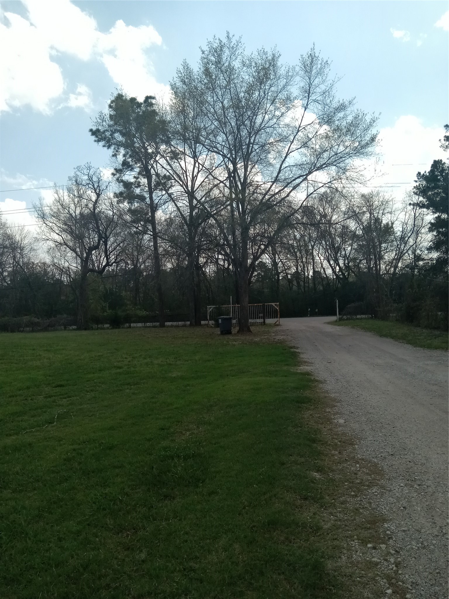 0 Goodson Road Magnolia, TX 77355 - Photo 9 of 9 a view of garden with trees