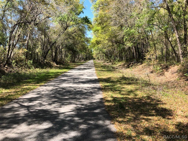 2001 Highway 41 Inverness, FL 34453 - Photo 2 of 9