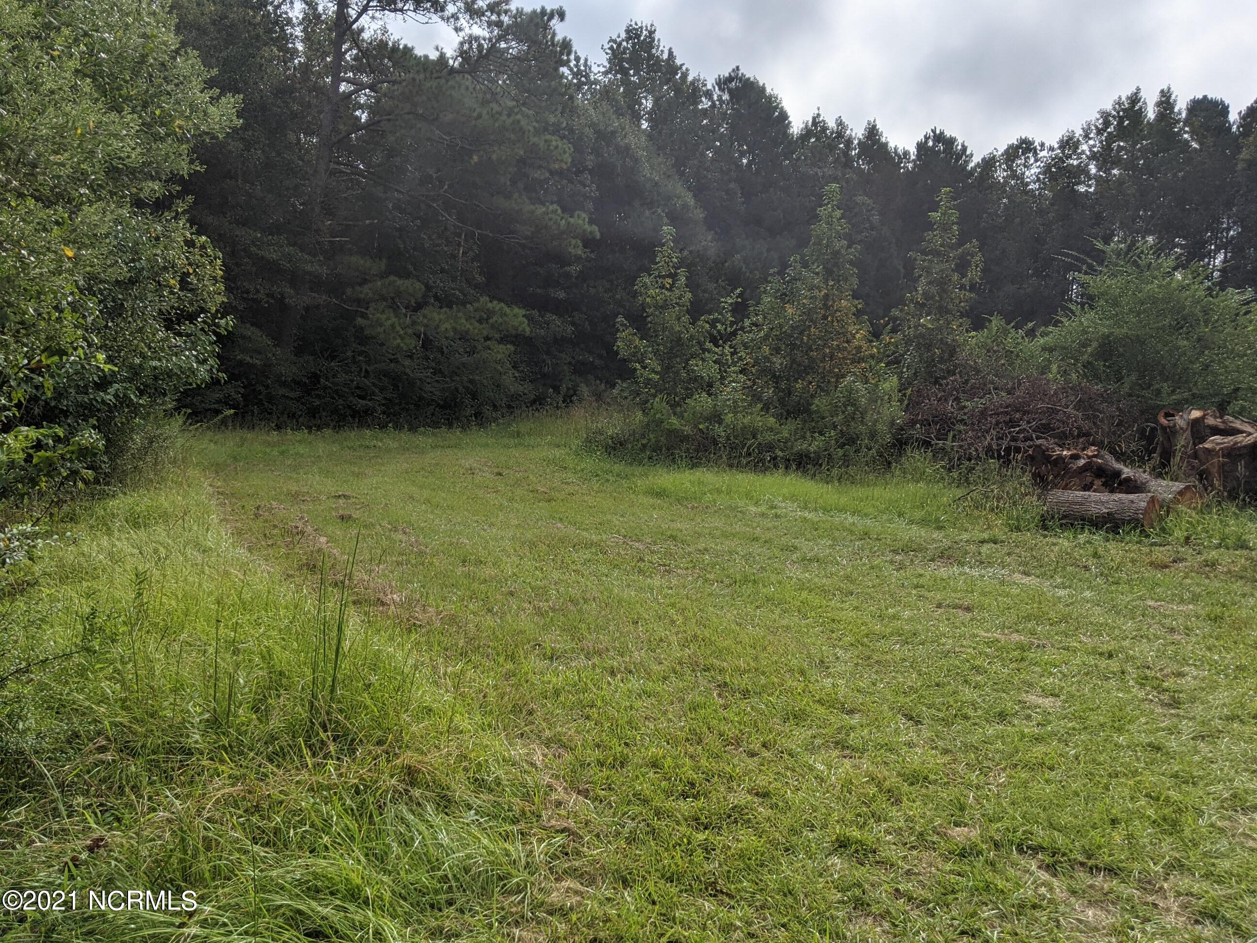 5000 Point Caswell Road Atkinson, NC 28421 - Photo 19 of 27 PXL_20210920_140608930