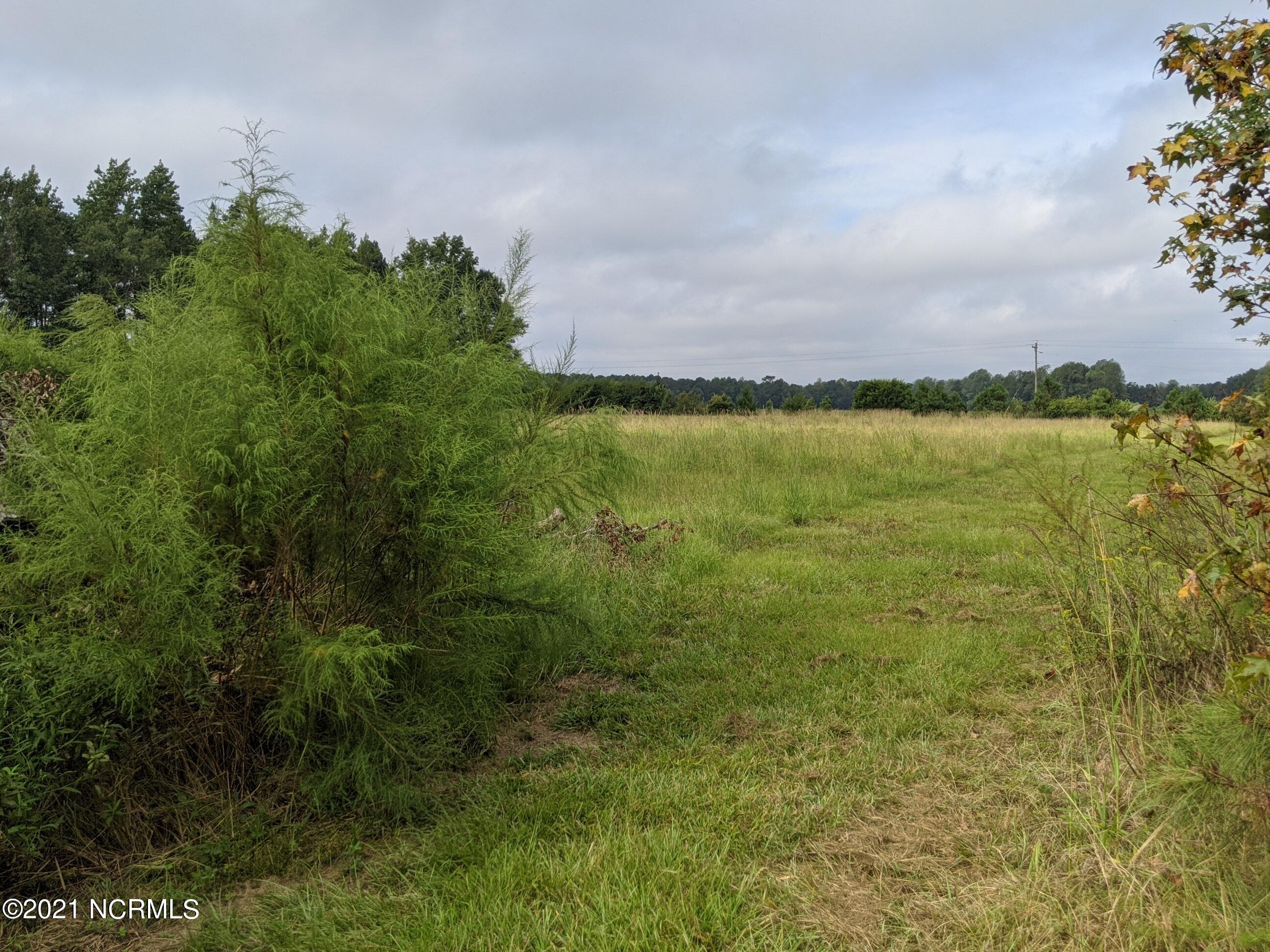 5000 Point Caswell Road Atkinson, NC 28421 - Photo 20 of 27 PXL_20210920_140616400