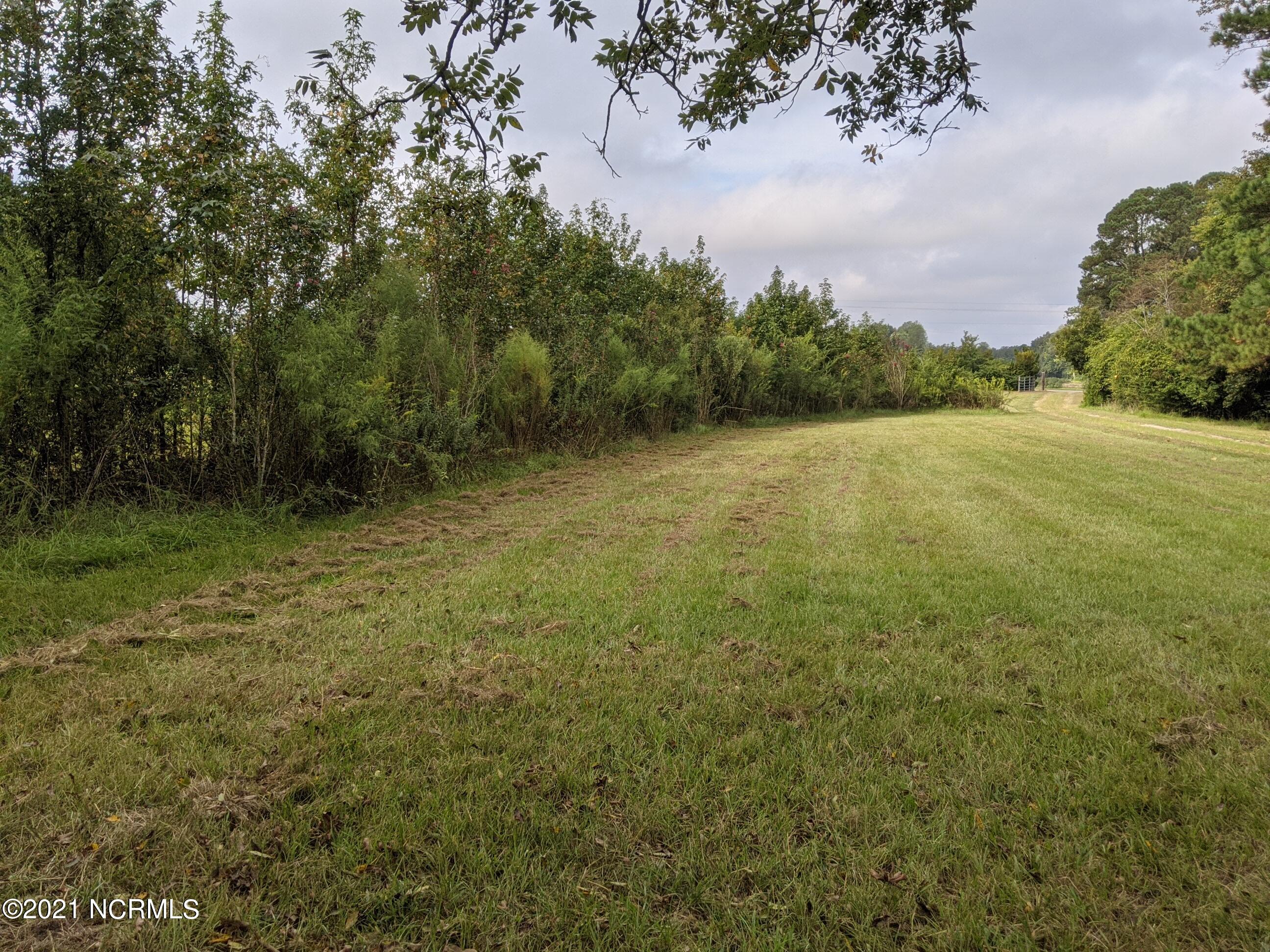 5000 Point Caswell Road Atkinson, NC 28421 - Photo 22 of 27 PXL_20210920_140653517