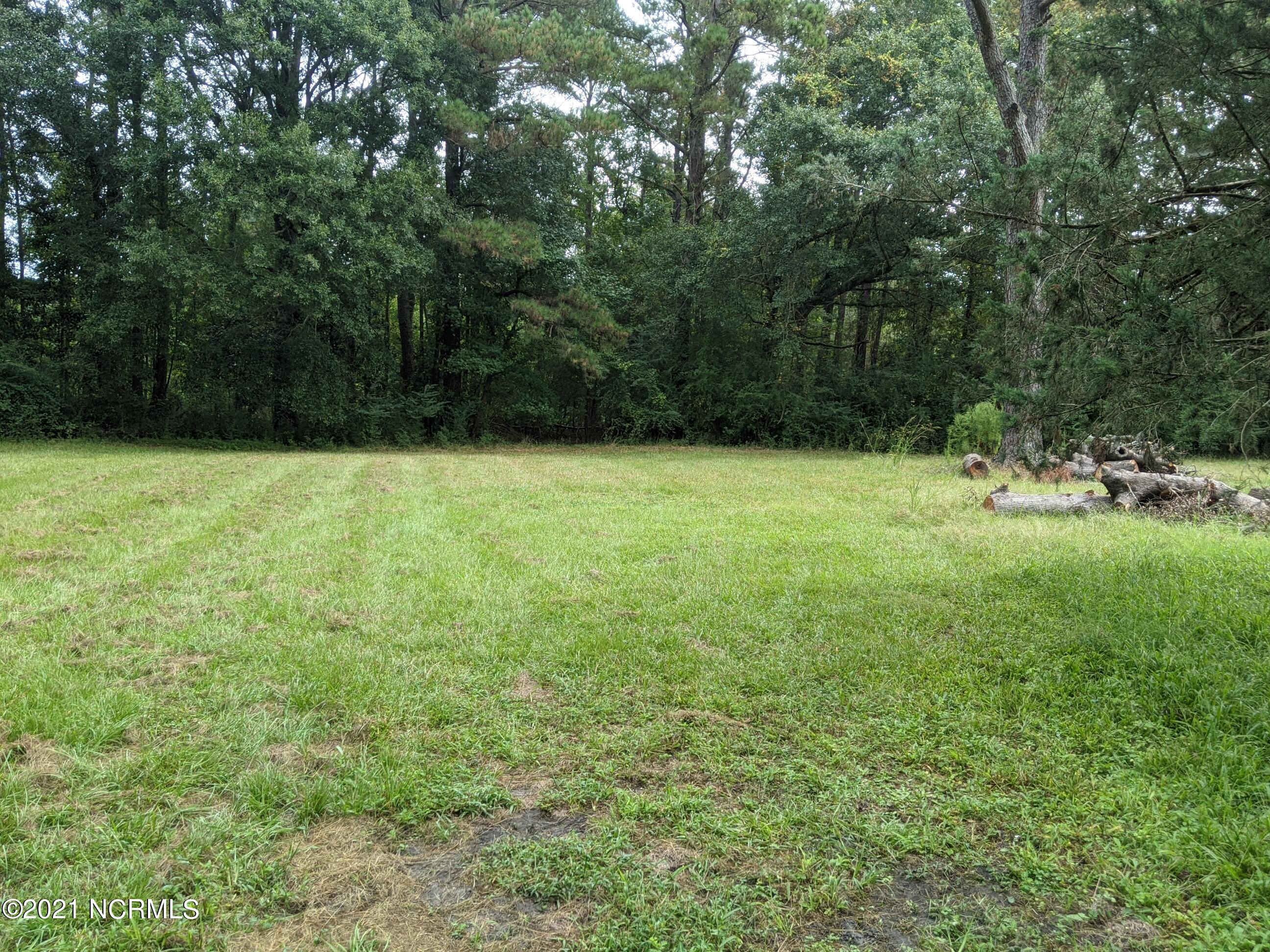 5000 Point Caswell Road Atkinson, NC 28421 - Photo 4 of 27 PXL_20210920_135152877
