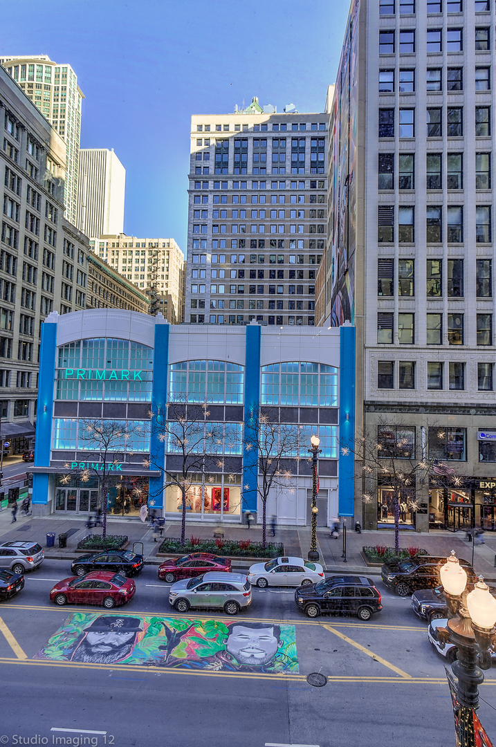 20 North State Street, Unit 311 Chicago, IL 60602 - Photo 5 of 22
