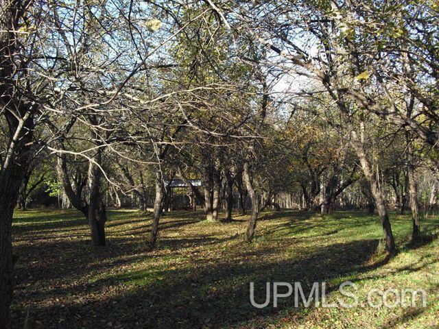Tbd Country Lane Road Eben Junction, MI 49825 - Photo 21 of 21