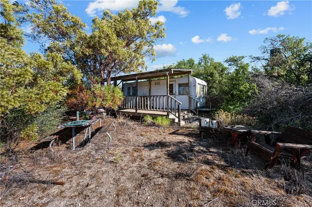 a view of a dry yard with trees