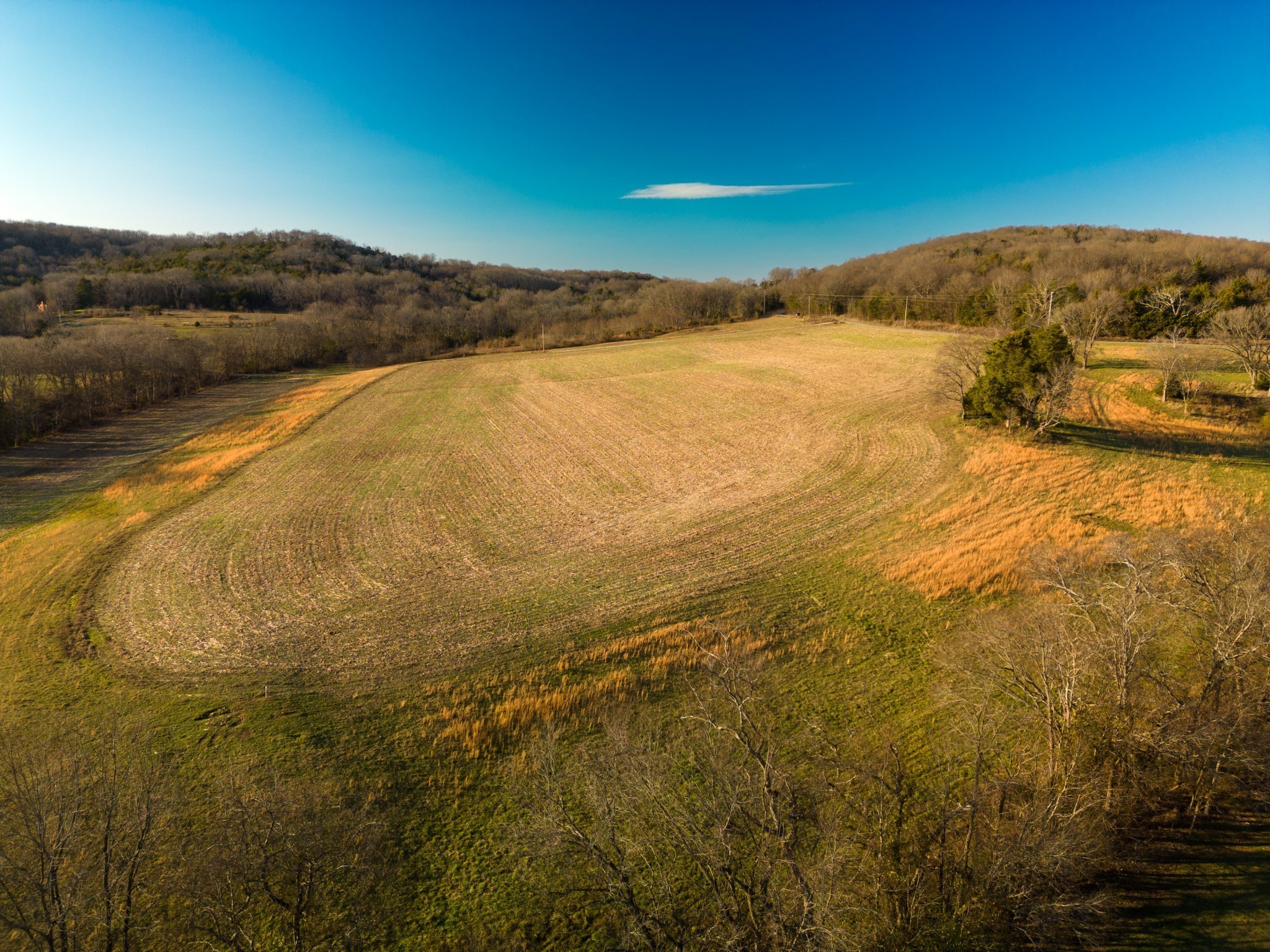 4 Hearn Hill Road Watertown, TN 37184 - Photo 15 of 36