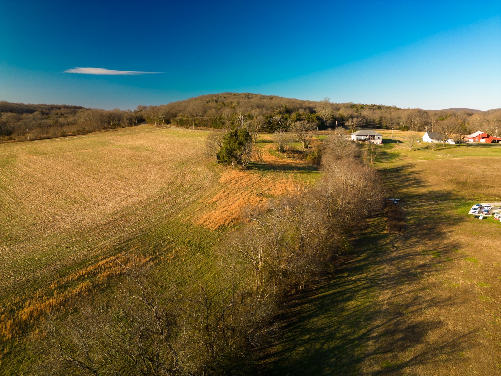 4 Hearn Hill Road Watertown, TN 37184 - Photo 32 of 36