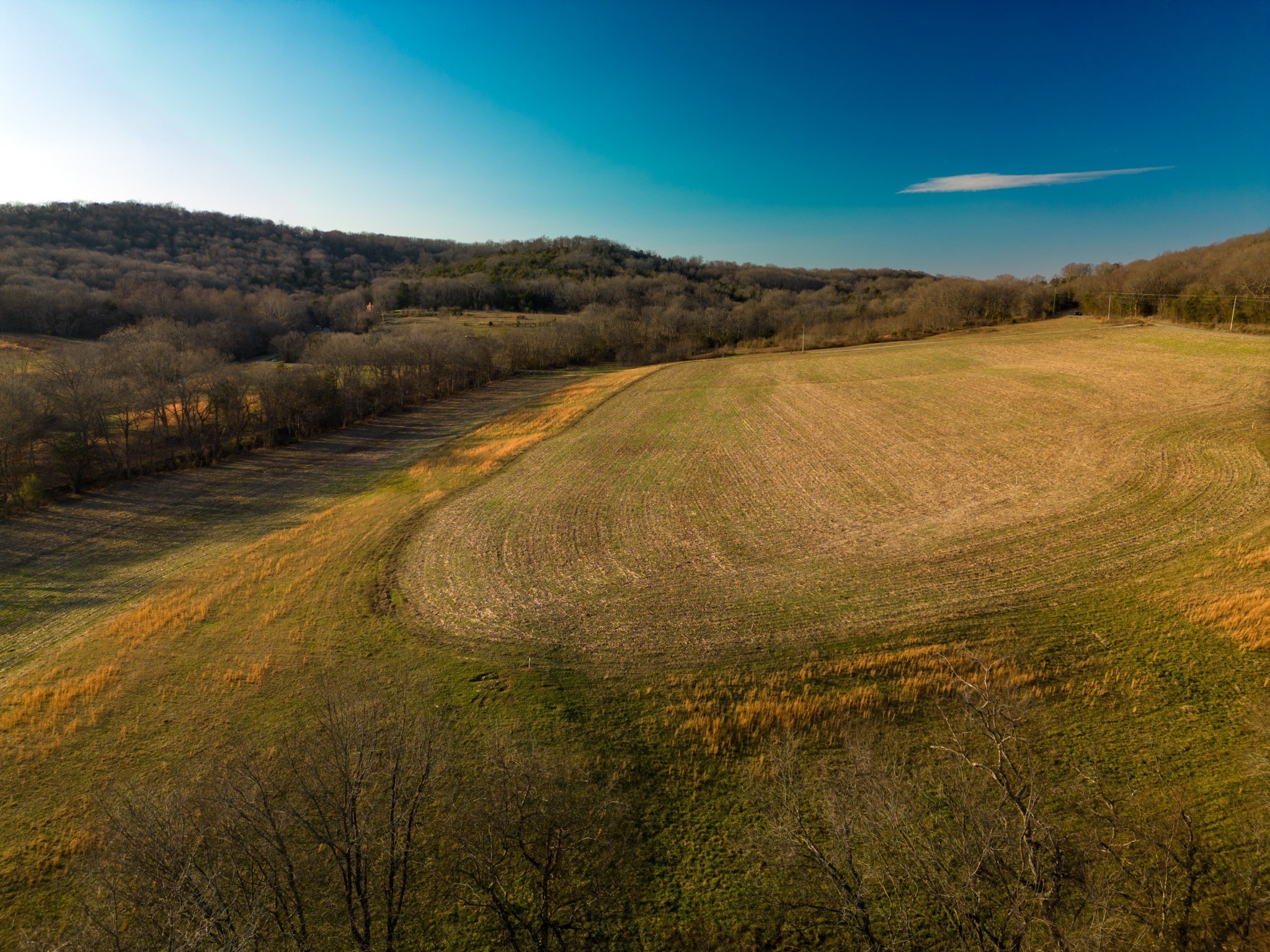 4 Hearn Hill Road Watertown, TN 37184 - Photo 33 of 36