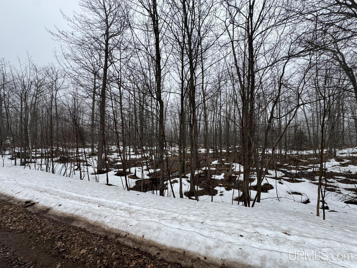 280-acres Off Pikes Peak Road Lanse, MI 49946 - Photo 2 of 21