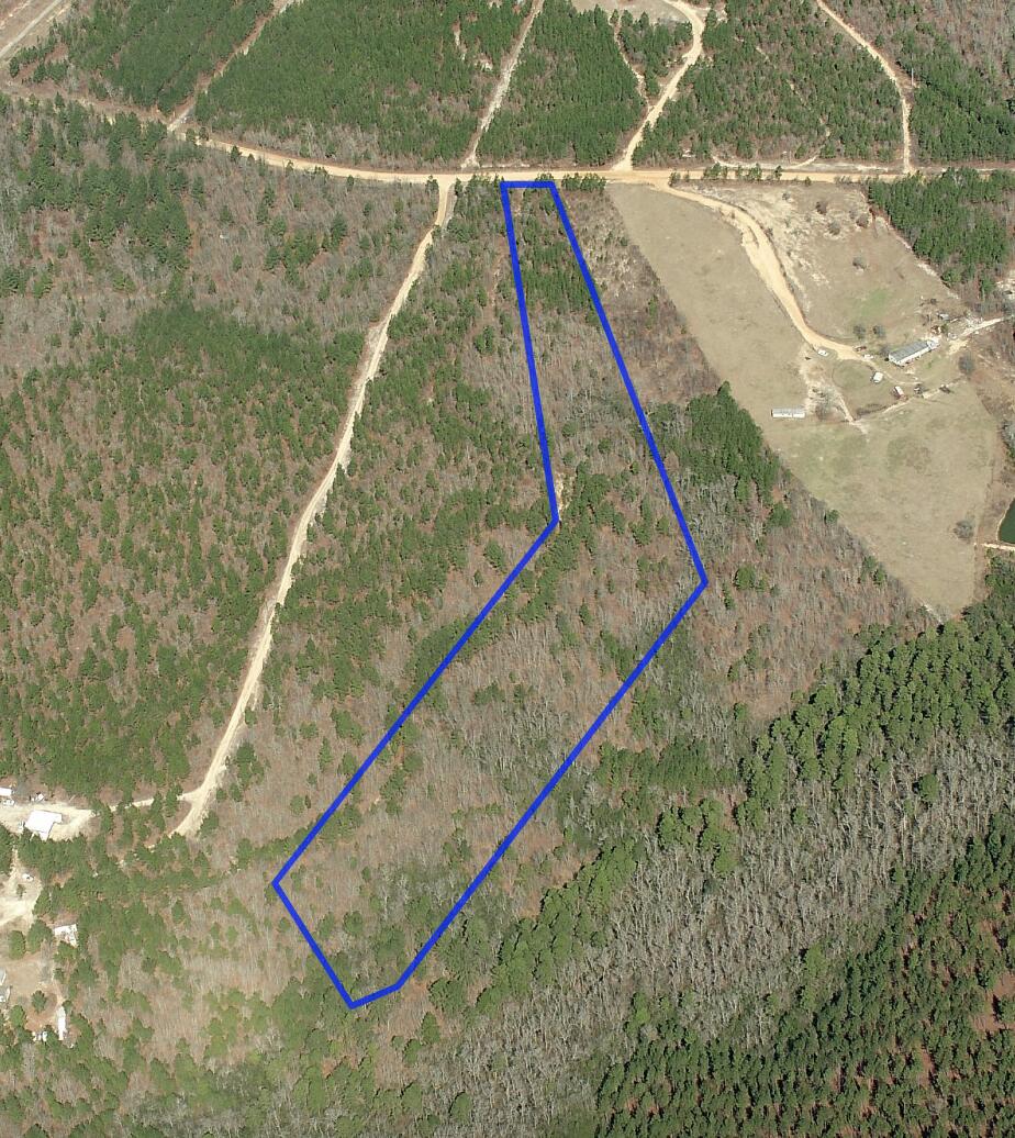 0 Sawyer Road Monetta, SC 29105 - Photo 4 of 5 4