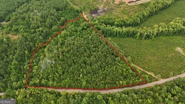 1801 Bairdstown Road Union Point, GA 30669 - Photo 1 of 1 a view of a garden