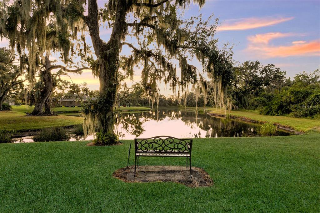 a view of a lake with a garden