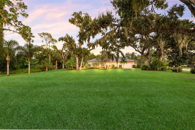 a view of green field