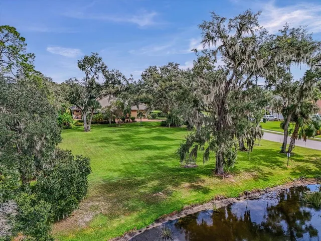 a view of a trees with a yard