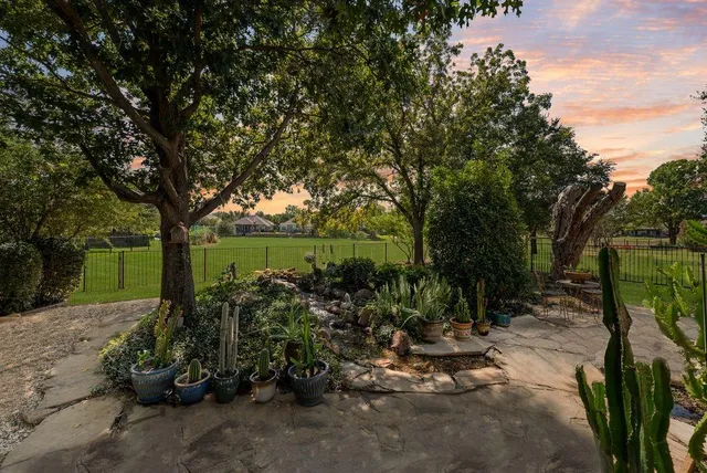 a view of a street with plants and large trees