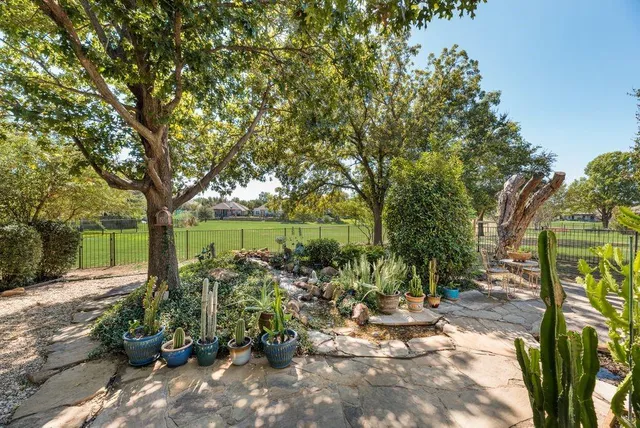 a view of a garden with large trees