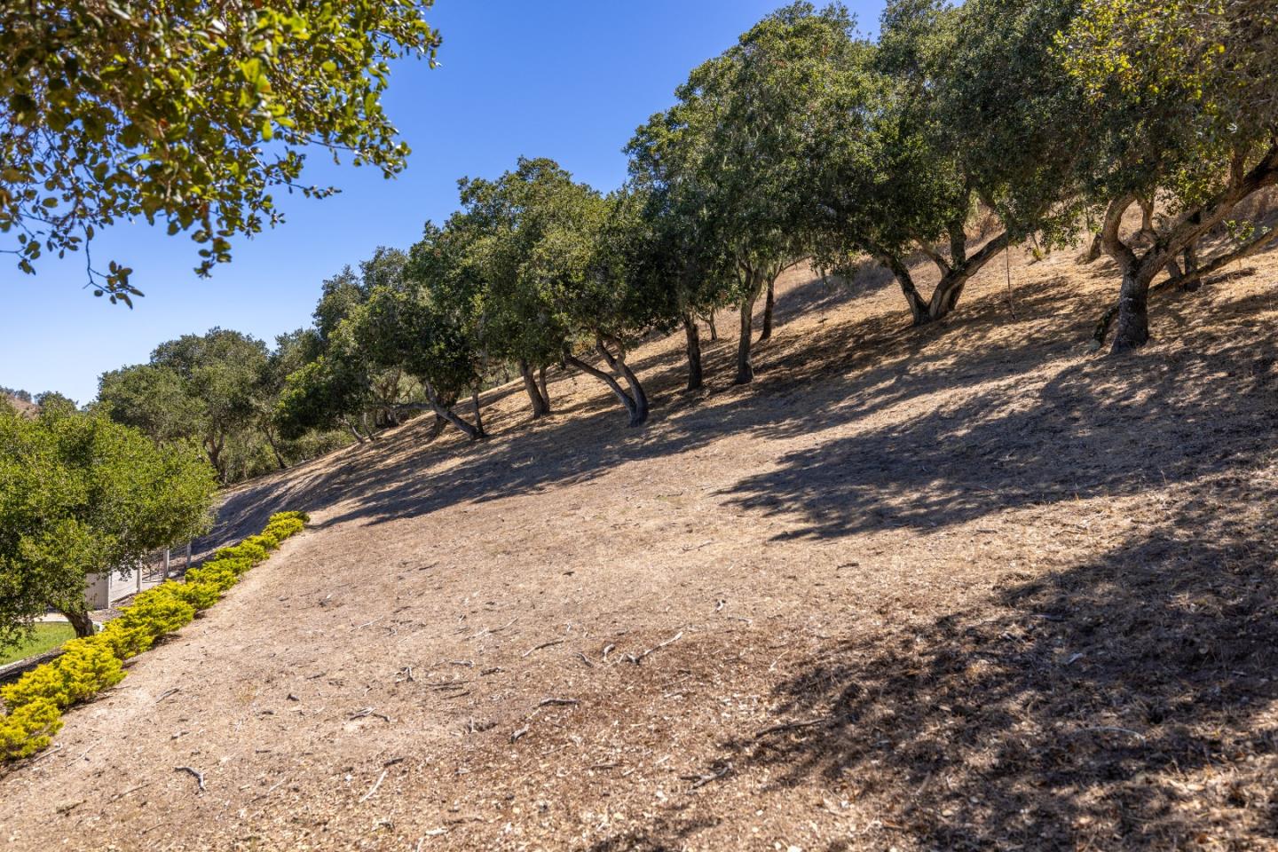28951 Falcon Ridge Road Salinas, CA 93908 - Photo 65 of 103 Gallery Image 65