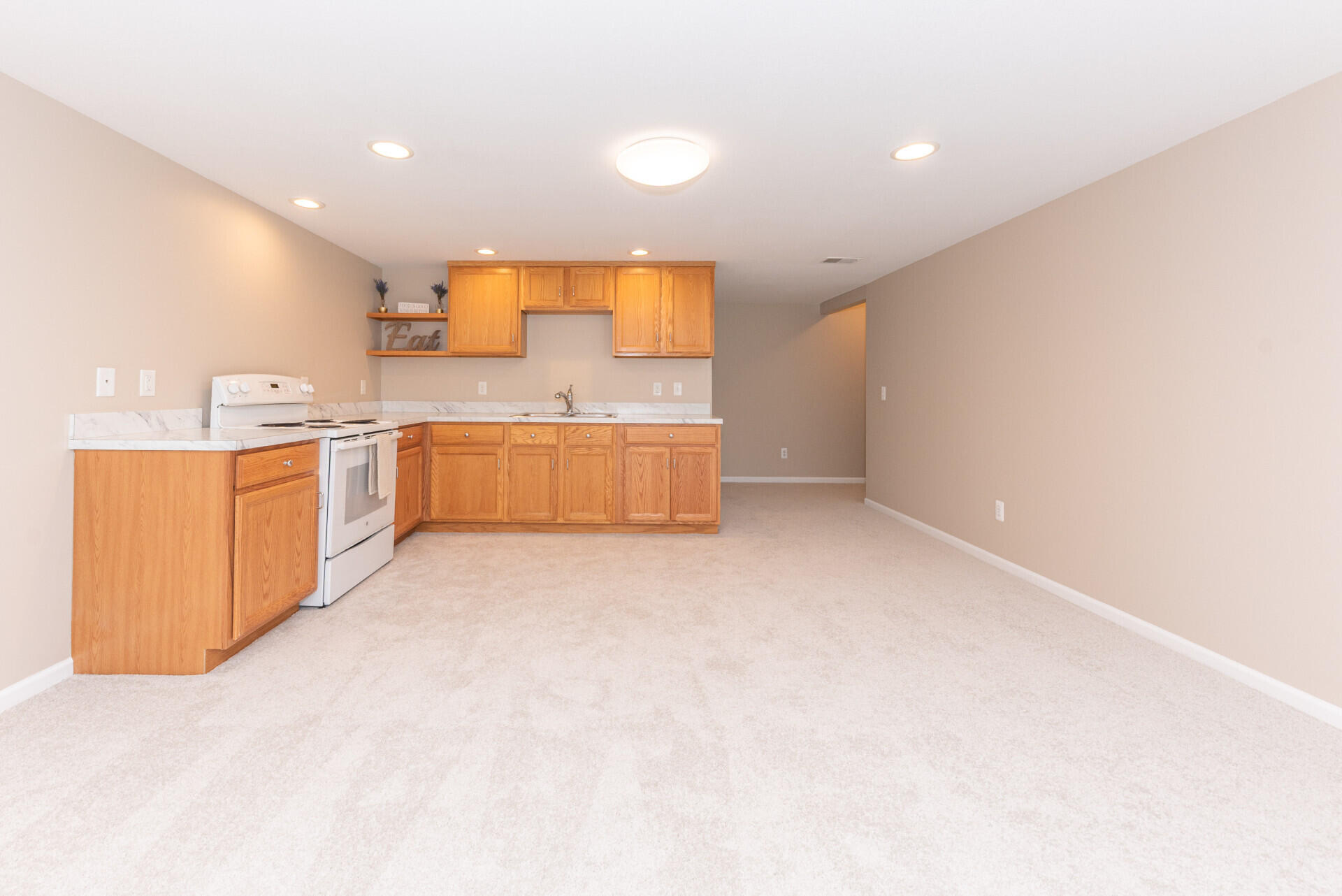 3923 Bridle Pass Ann Arbor, MI 48108 - Photo 38 of 50 Basement kitchen