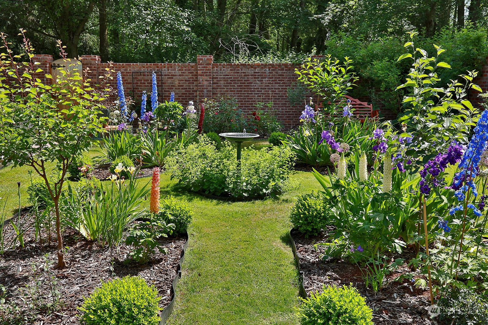 6501 Wahl Road Freeland, WA 98249 - Photo 33 of 40 a view of a garden with plants