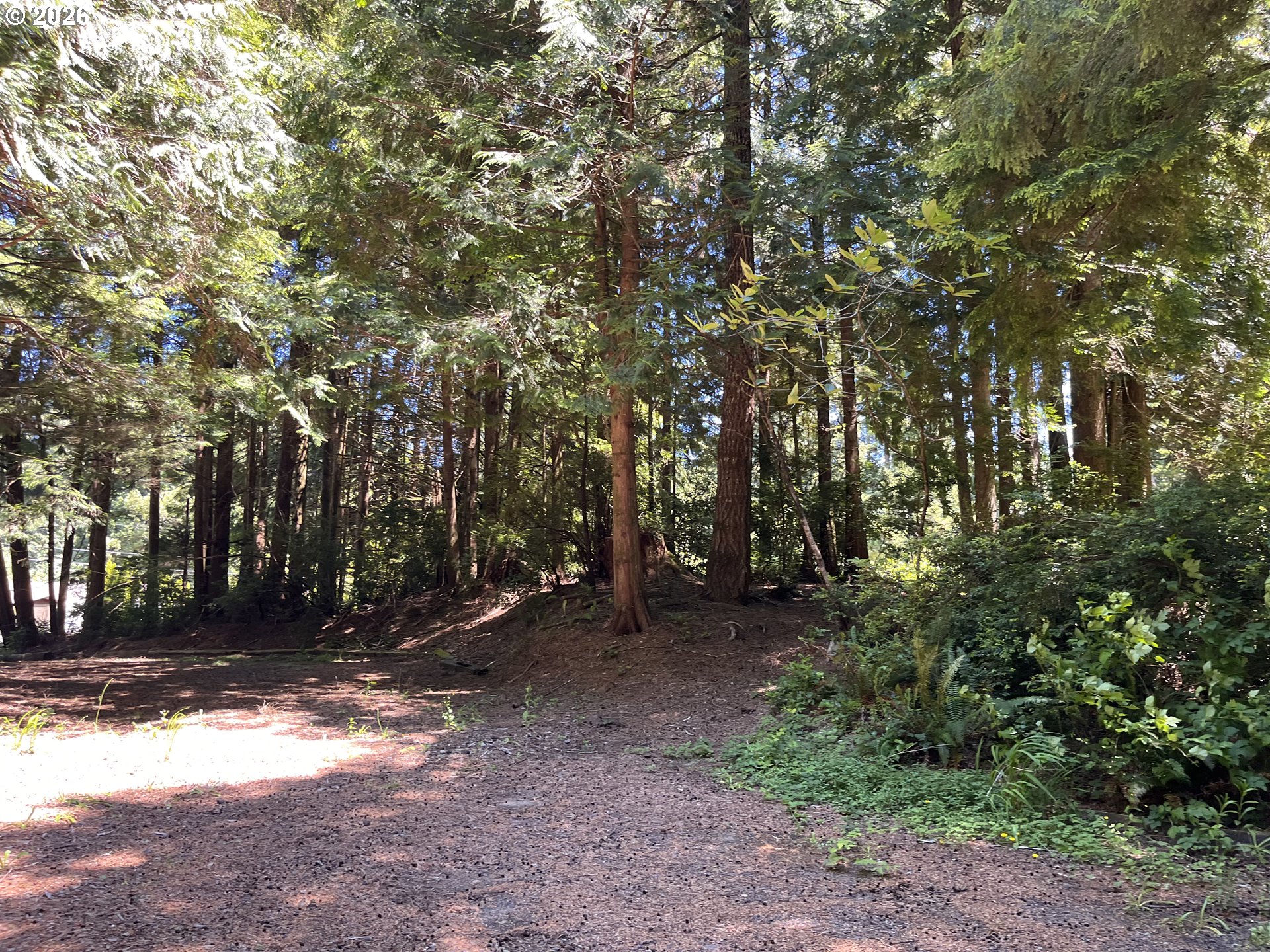 North Loftus Road Florence, OR 97439 - Photo 10 of 12