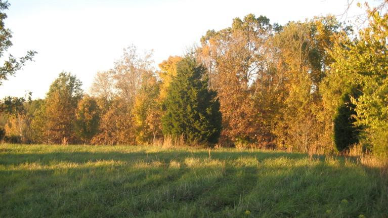 1600 Cullpepper Road Corinth, KY 41010 - Photo 25 of 28 Photo 25