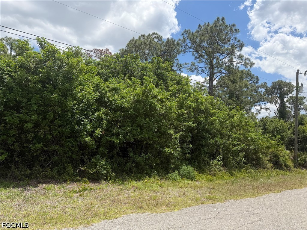110 Columbus Avenue Lehigh Acres, FL 33936 - Photo 3 of 5